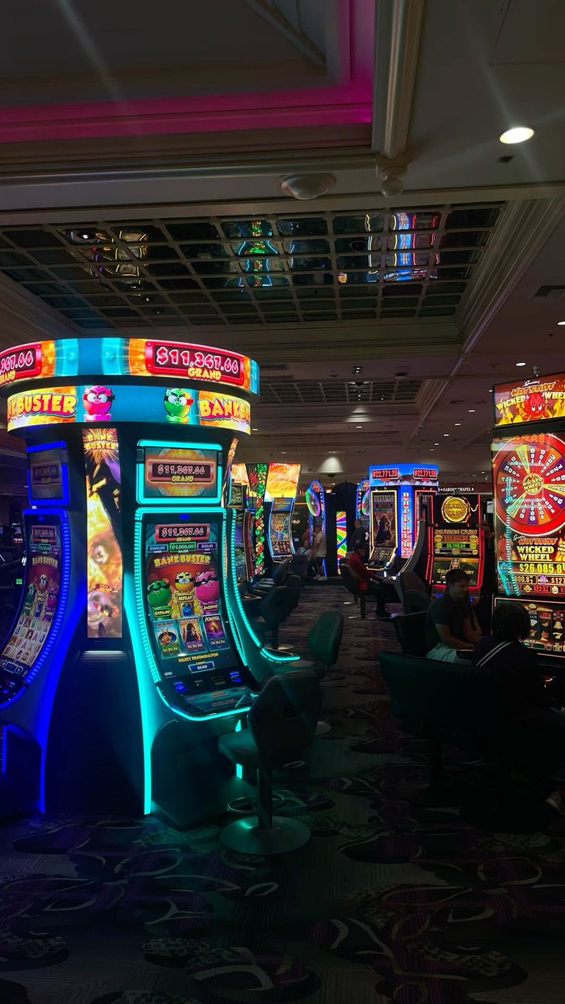 Overview of casino lolajack